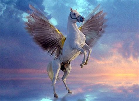 21+ Show a picture of pegasus info | smallhorsestabledesigns