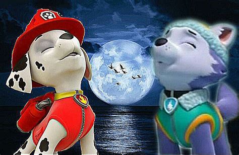 Marshall and Everest - PAW Patrol Fan Art (40215675) - Fanpop