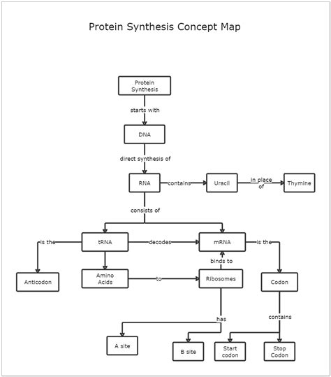 This Protein Synthesis Concept Map Template depicts the process of protein synthesis. A Protein ...