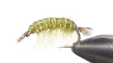 Scud Fly Tying Instructions, Recipe and How To Tie Tutorial | Fly tying, Fly tying patterns ...