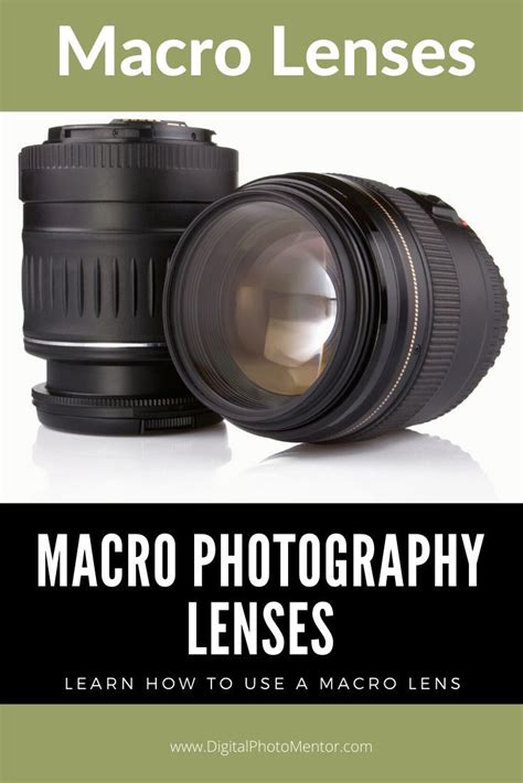 Macro Photography Lenses: Capture the World in Detail