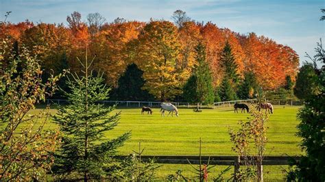 Door County Fall Colors - My Five Favorite Locations