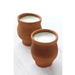 Plain Lassi at Best Price in Palanpur, Gujarat | Royal Dairy