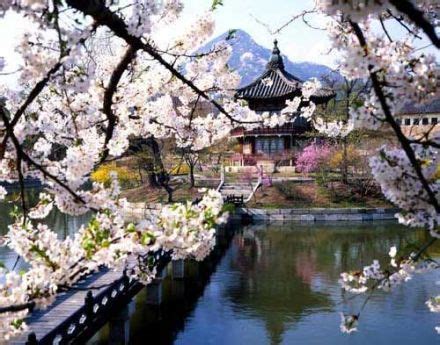 Climate,History,and Culture - North Korea