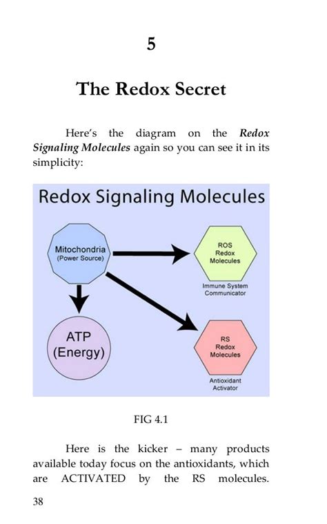 Redox Signaling Molecules