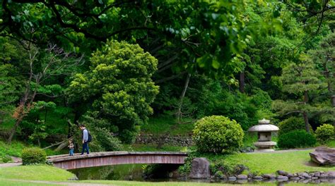 Shinjuku Gyoen National Garden Tours - Book Now | Expedia