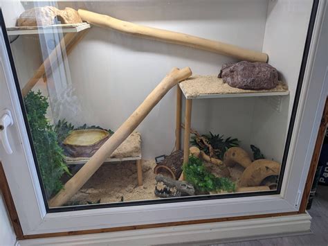 Seeking advice on corn snake enclosure with multiple floors. : r/snakes