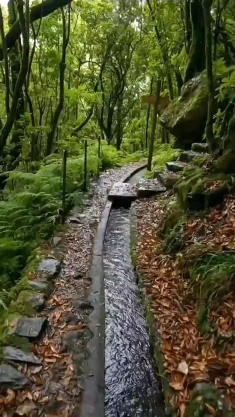 Beautiful nature with relaxing sound – Artofit