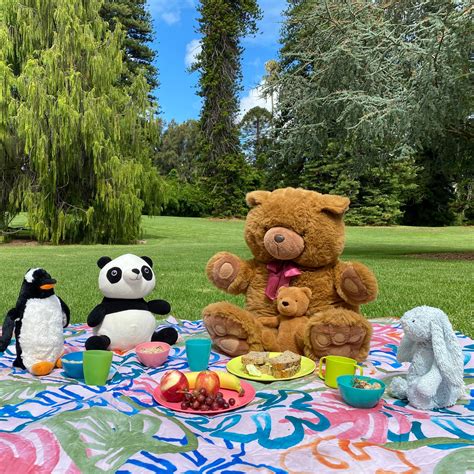 National Teddy Bear Picnic Day 2024 - Noni Thekla