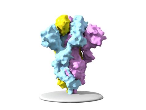 Protein 3D Models for Download | TurboSquid