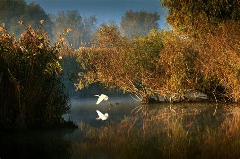 Danube Delta, Romania photo on Sunsurfer