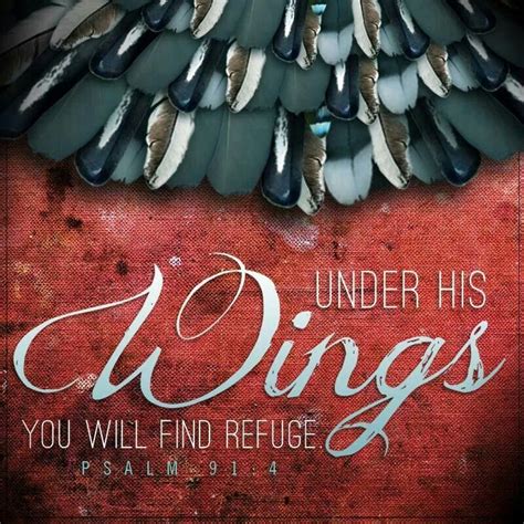 Under His Wings...Refuge! | Psalms, Bible verses, Psalm 91