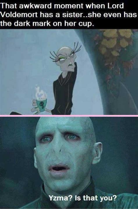 Funny Voldemort Harry Potter Clean Memes