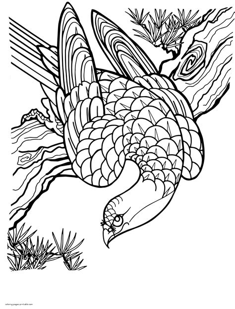 Birds Of Prey Coloring Pages Coloring Pages