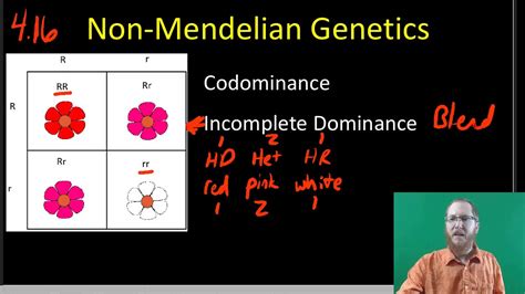 Non Mendelian Inheritance Examples