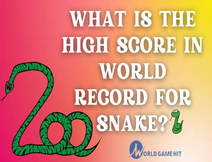 What is The High Score in World Record For Snake Game | by Worldgamehit ...