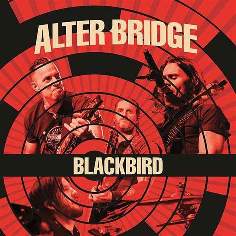 Alter Bridge - Blackbird (Live) | Releases | Discogs