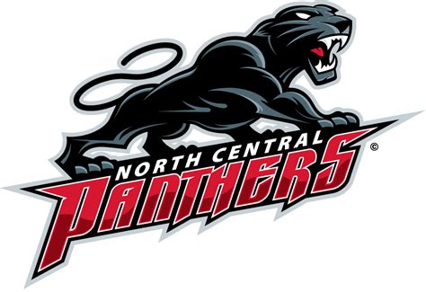 High School logo redesign NCHS Panthers - Concepts - Chris Creamer's ...