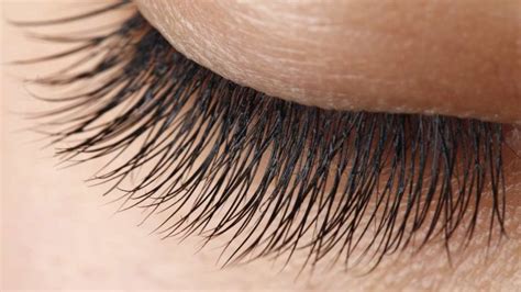 8 home remedies to get longer eyelashes – Bowie News