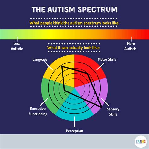 THE AUTISM SPECTRUM? – CAMHS Professionals