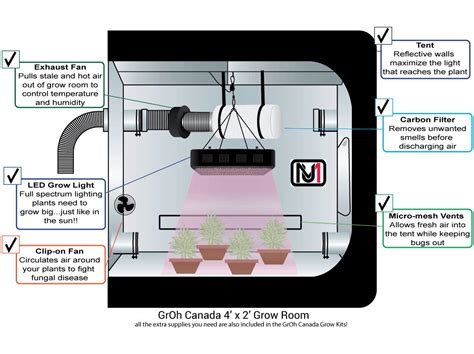 How Should You Set up Your Grow Tent? Step By Step Guide