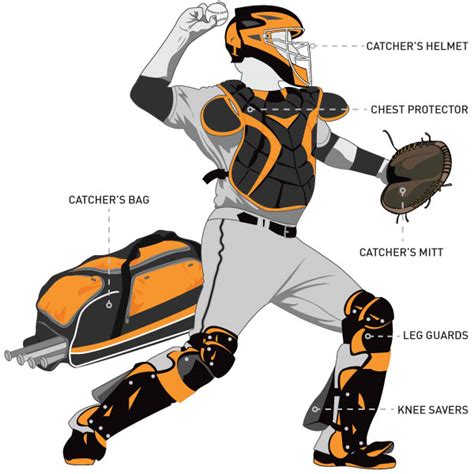 The Basics of Choosing Baseball Catcher's Gear