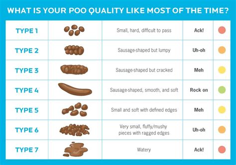 6 reasons you really should care about your poop health