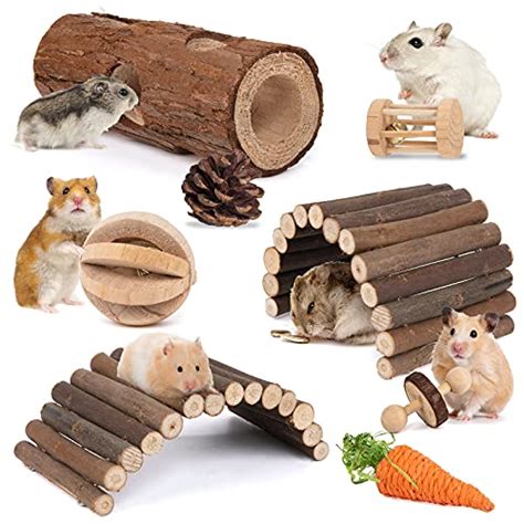 The Best Hamster Accessories - CatTime