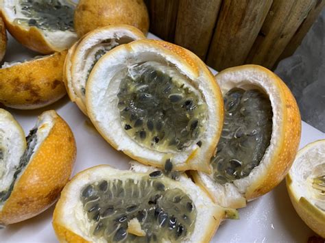 Passion Fruit - Granadilla, Purple Granadilla, Yellow Passion Fruit