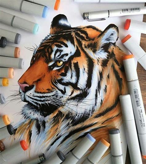 Wild Animal Spirits In Pencil And Marker Illustrations By