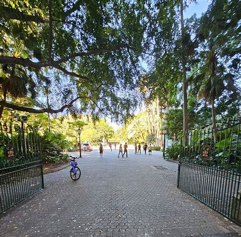 Great Brisbane City Walk - The River Loop