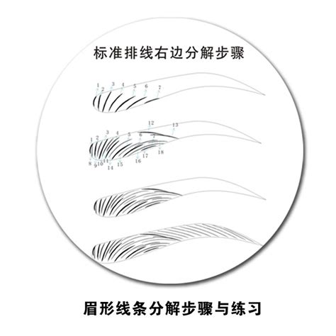 画眉初学,技巧,学(第3页)_大山谷图库