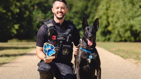 Cheshire Police dog and handler win crime fighting award - BBC News