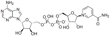 COA of NAD+ | Certificate of Analysis | AbMole BioScience