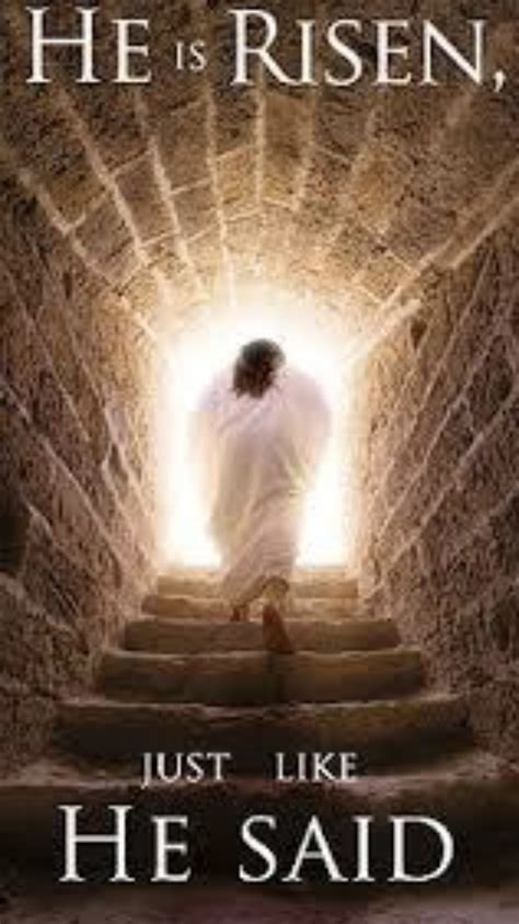 Lord Jesus Christ Jesus Has Risen, Christ Is Risen, Risen Lord, He Is Risen Quotes, Jesus Quotes ...