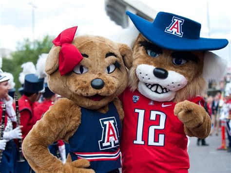 History of Arizona Wildcats mascot Wilbur