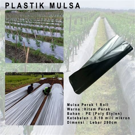 Jual Plastik Mulsa Perak Hitam Lebar 290cm - Tebal 0.10 Mm pertanian sawah kebun tanah hitam ...