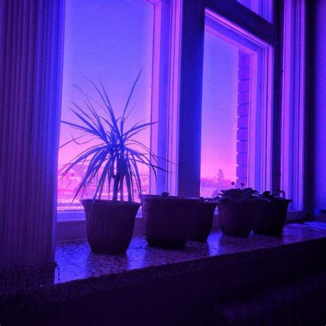 974 best •:* Purple Aesthetic *:• images on Pinterest | Purple ...