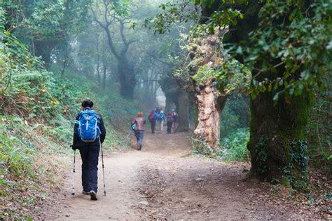 Why the Camino de Norte Is the Route to Choose in Spain