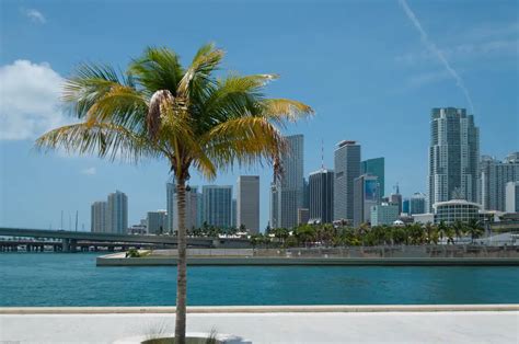 Weather Miami in July 2021: Temperature & Climate