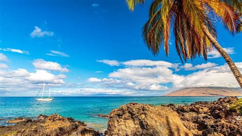 What Are the Best Beaches in Kihei? - Next Vacay