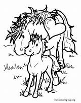 Mother And Baby Horse Coloring Pages sketch template
