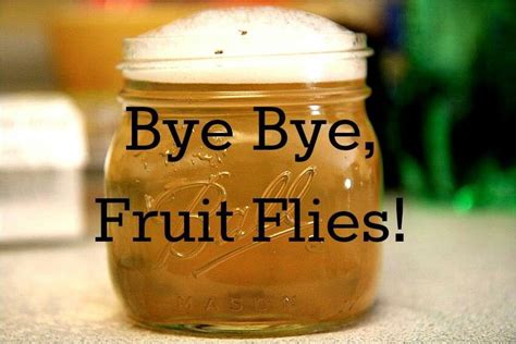 No more fruit flies/Tried it for a major infestation-only been an hour ...