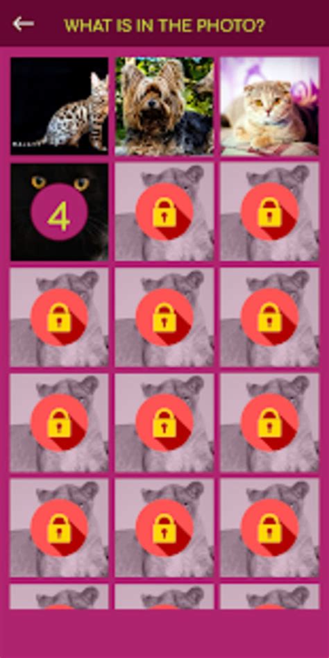 Cat Dog Breeds Quiz APK for Android - Download