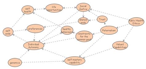 Autonomy Paternalism and Justice: Ethics in Public Health | Insight Maker