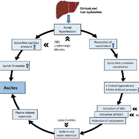 Patient with tense ascites. | Download Scientific Diagram