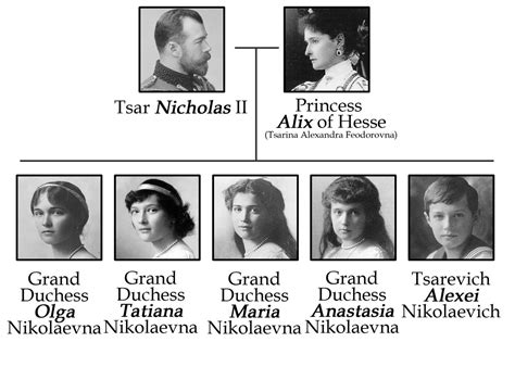 The Roanov Children | Romanov family, Tsar nicholas, Romanov family tree