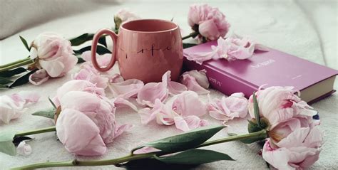 Close-Up Shot of a Pink Cup beside Pink Flowers · Free Stock Photo