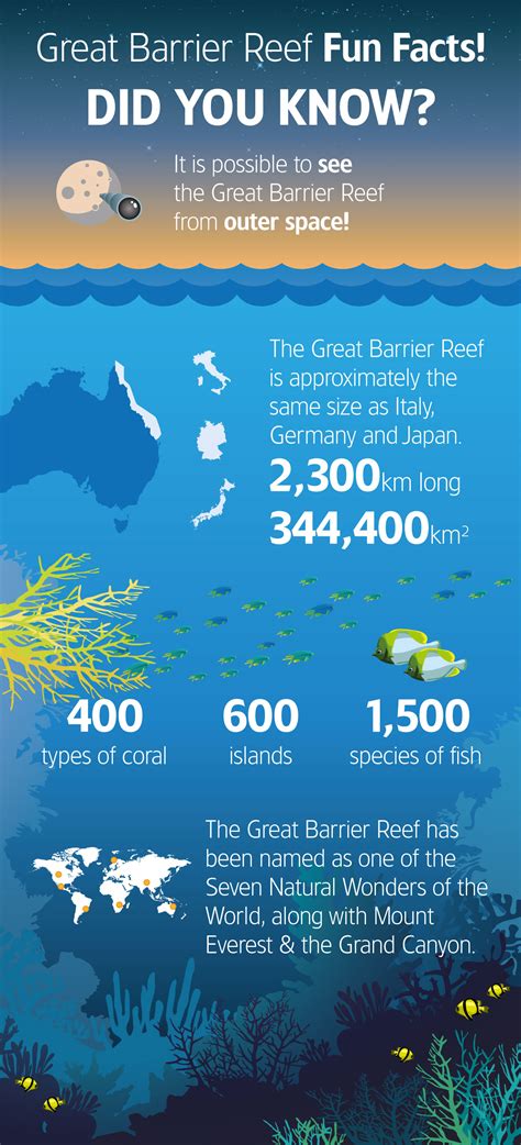 Great Barrier Reef - FUN FACTS - Mantra