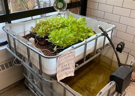 Teaching Sustainability Through Aquaponics | article - Richfield High ...